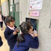 返學拍卡2