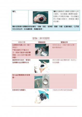 S5C_生物科_解剖豬眼實驗報告_吳子遙,李善鈴,胡佩瑩,張泳嘉,彭慧彤,黃明珠03