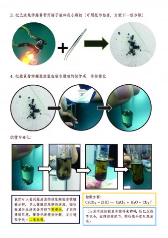 中學_生物_高二_王嘉儀 劉琛萁 黃慧琳 劉紫恩 鄭穎嵐