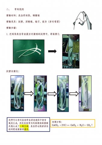 中學_生物_高二_王嘉儀 劉琛萁 黃慧琳 劉紫恩 鄭穎嵐