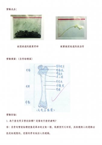 中學_生物_高二_王嘉儀 劉琛萁 黃慧琳 劉紫恩 鄭穎嵐